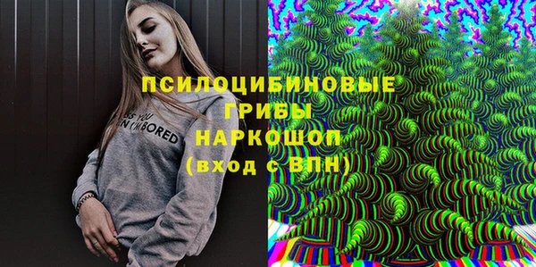 дурь Майский