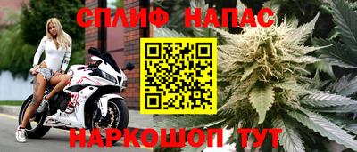 мяу мяу мука Бугуруслан