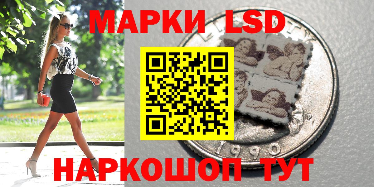 Альфа ПВП Котлас