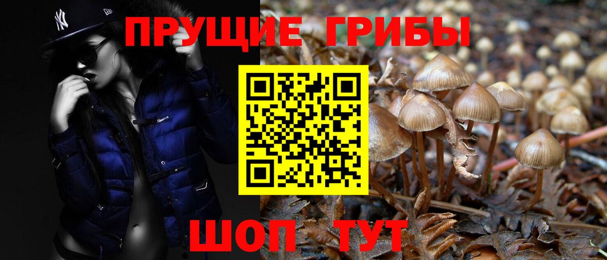 Котлас  Галлюциногенные грибы мухоморы  Вход с VPN 